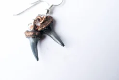 SALE Shark tooth earrings | Shark tooth fossil earrings