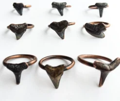 SALE Shark tooth ring | Sharkstooth ring