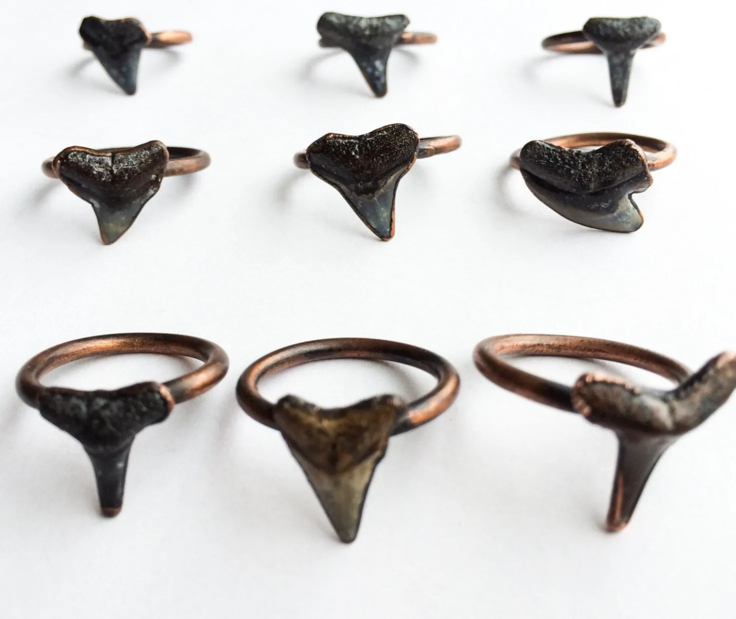 SALE Shark tooth ring | Sharkstooth ring