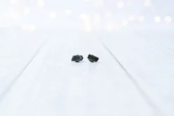 Tourmaline earrings | Stud earrings